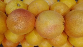 Alimentos ricos en vitamina C y su importancia