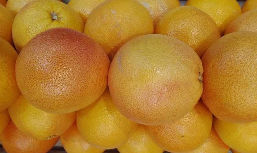 Alimentos ricos en vitamina C y su importancia