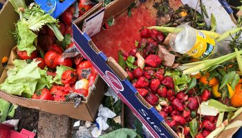 Cómo evitar el desperdicio de alimentos en casa