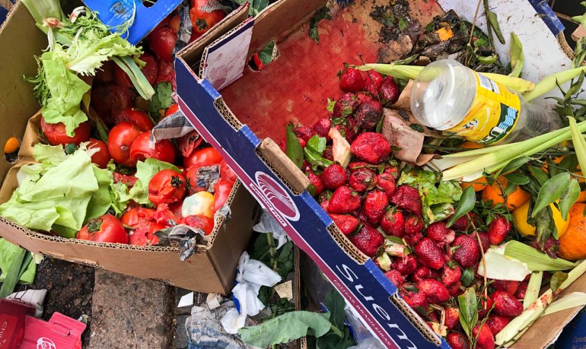 Cómo evitar el desperdicio de alimentos en casa