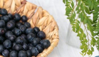 Cómo hacer conservas caseras de frutas y verduras