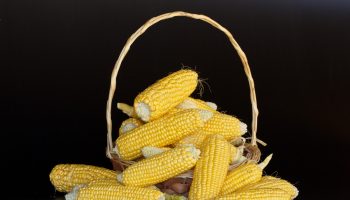 Dieta baja en carbohidratos: ventajas y desventajas