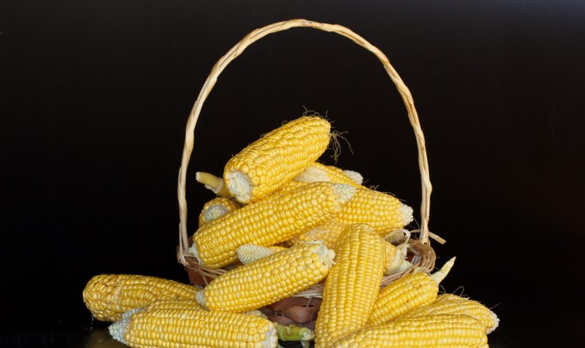 Dieta baja en carbohidratos: ventajas y desventajas