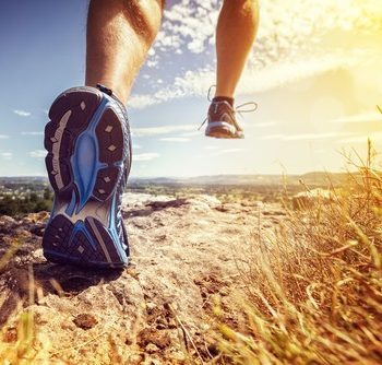 Nutrición para Atletas de Resistencia: Mantén tu Energía en Carreras y Entrenamientos